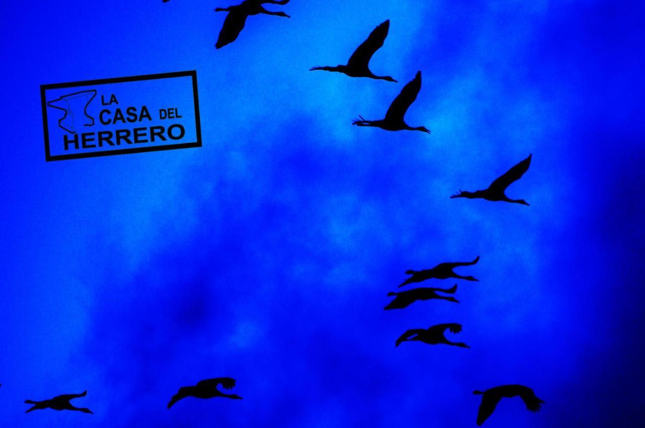 La Casa Del Herrero El Poyo Zewnętrze zdjęcie